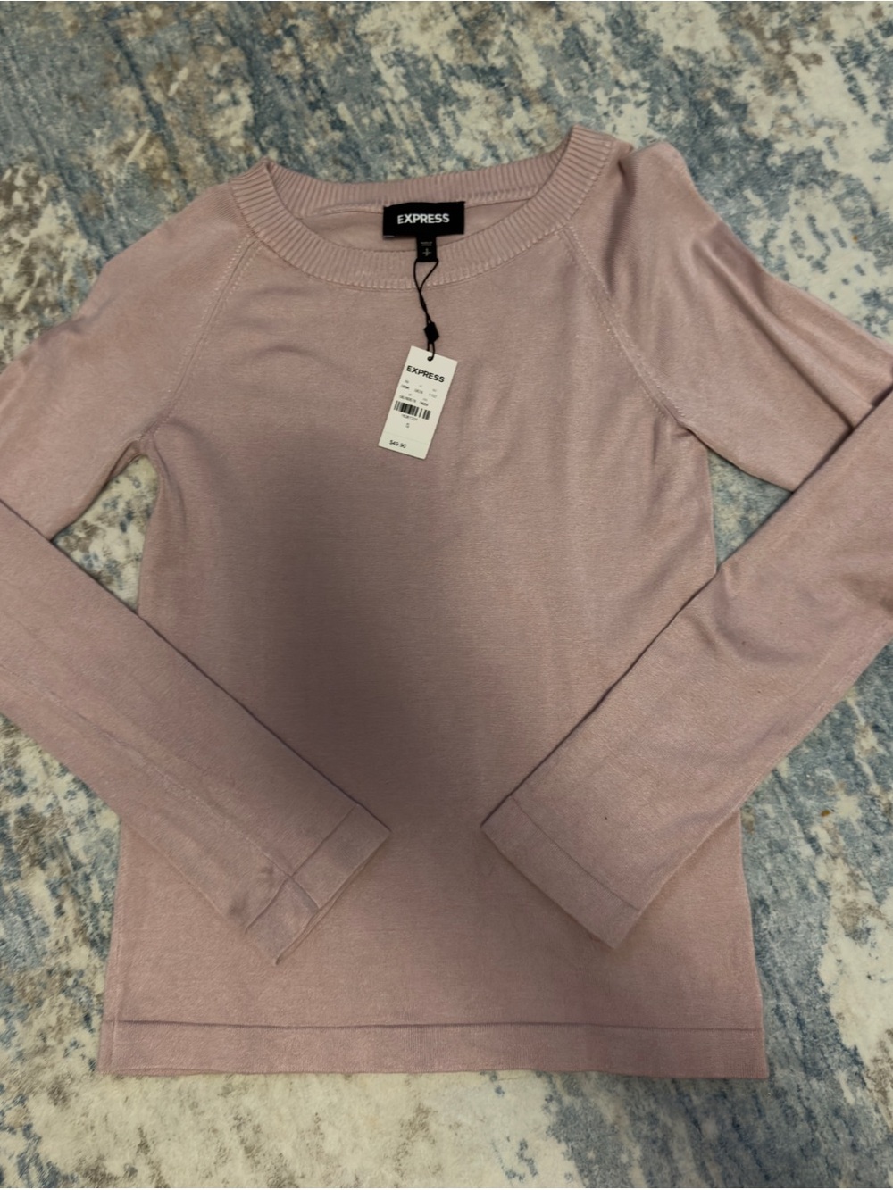 Express Long Sleeve Crewneck Top - Light Dusty Rose